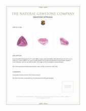 0.79 Ct. Tourmaline from Mozambique Appraisal