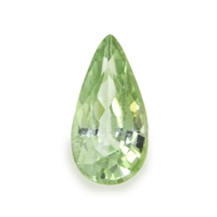 2.30 Ct. Tourmaline from Mozambique Video