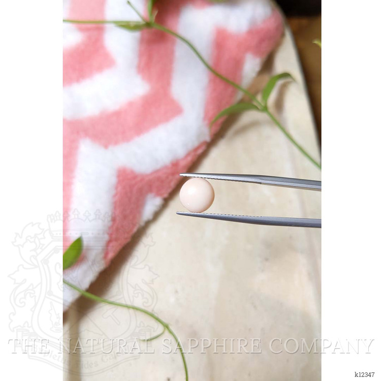 2.56 Ct. Cabochon Coral from Italy