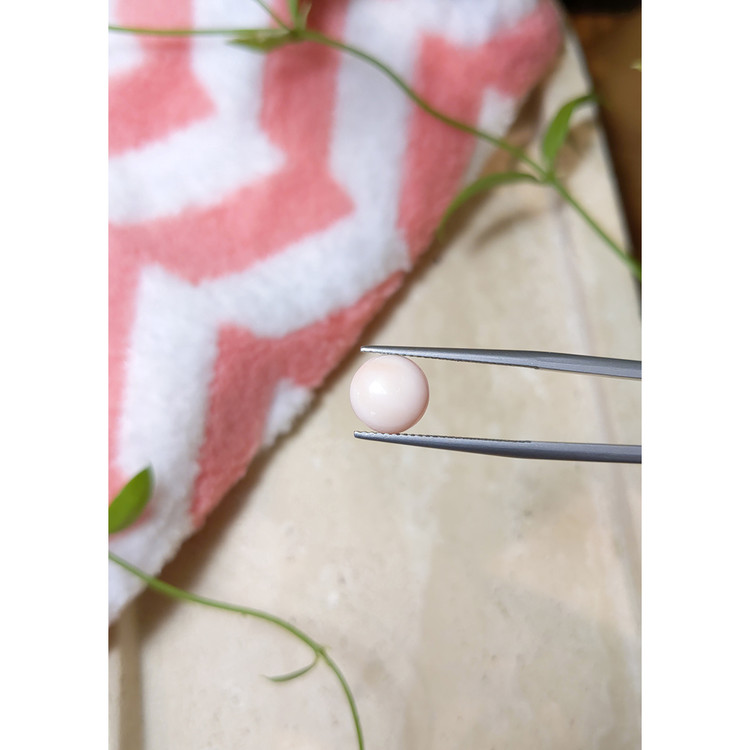 3.21 Ct. Cabochon Coral from Italy