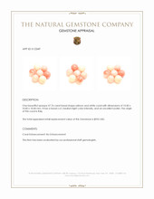 47.76 Ct. Coral from Italy Appraisal