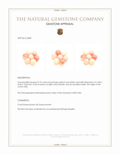 47.76 Ct. Coral from Italy Appraisal