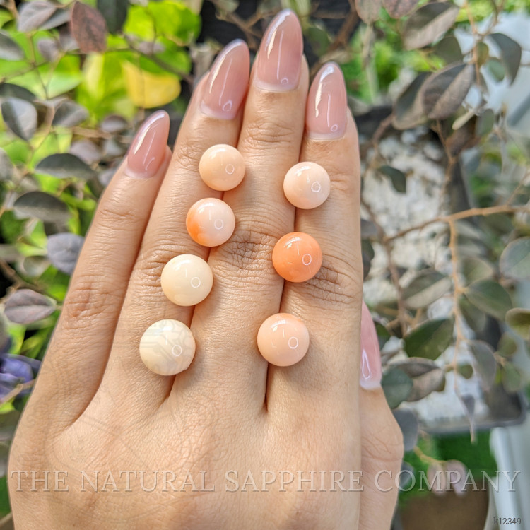 47.76 Ct. Coral from Italy