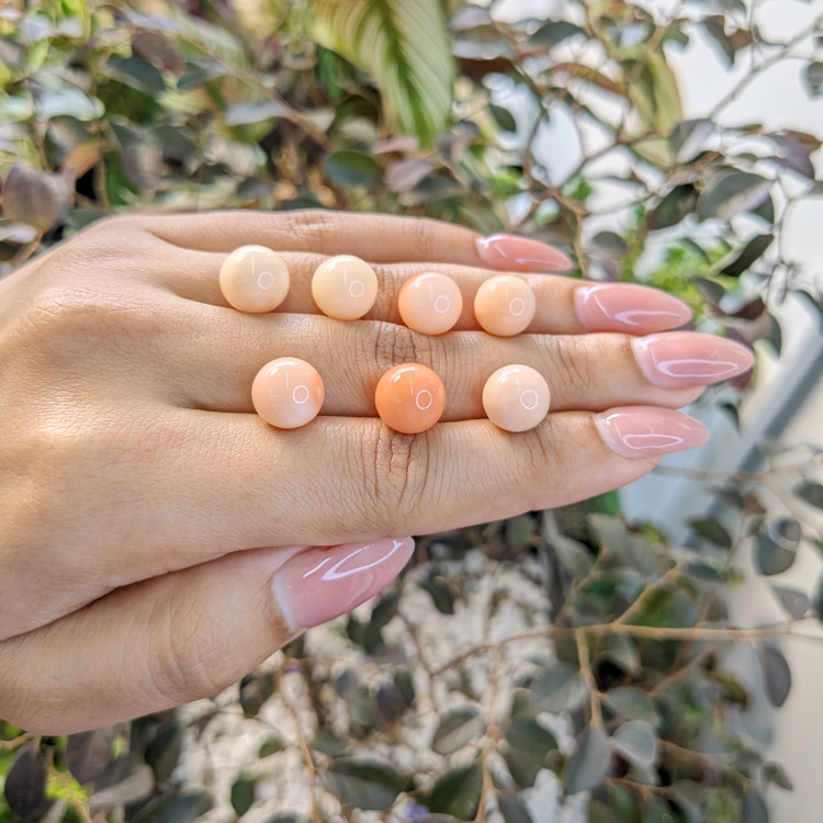 47.76 Ct. Coral from Italy