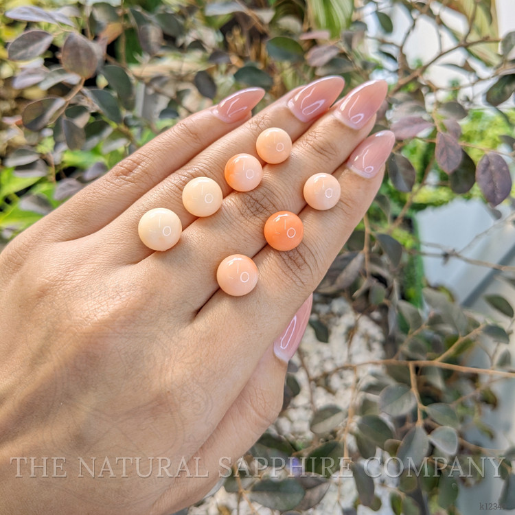 47.76 Ct. Coral from Italy