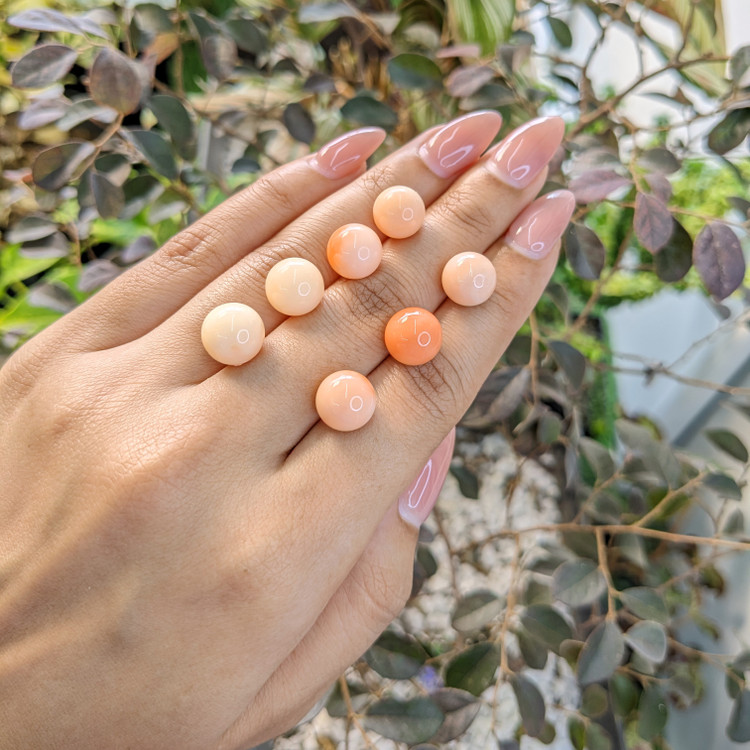 47.76 Ct. Coral from Italy