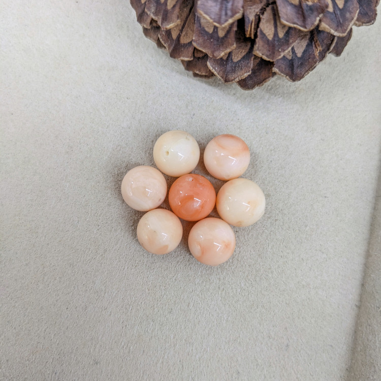 47.76 Ct. Coral from Italy