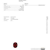 7.21 Ct. Spessartite Garnet Scan Report