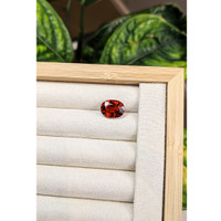 7.21 Ct. Spessartite Garnet Life Style