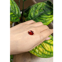 7.21 Ct. Spessartite Garnet Life Style