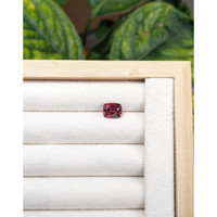 3.17 Ct. Spinel from Burma (Myanmar) Life Style