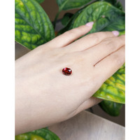 1.98 Ct. Spinel from Burma (Myanmar) Life Style