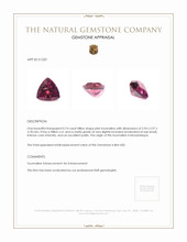 0.74 Ct. Tourmaline from Mozambique Appraisal