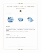 16.87 Ct. Blue Aquamarine from Ceylon (Sri Lanka) Appraisal