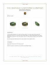 Jewelry Appraisal