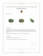 Jewelry Appraisal