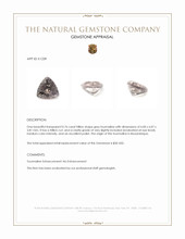 0.76 Ct. Tourmaline from Mozambique Appraisal