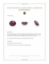 3.46 Ct. Red Garnet from Ceylon (Sri Lanka) Appraisal