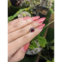 3.46 Ct. Garnet from Ceylon (Sri Lanka) Life Style