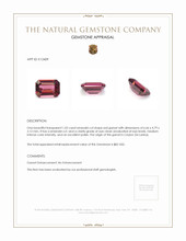 1.02 Ct. Garnet from Ceylon (Sri Lanka) Appraisal