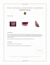 2.89 Ct. Garnet from Ceylon (Sri Lanka) Appraisal