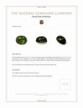 17.02 Ct. Cabochon Tourmaline from Mozambique Appraisal