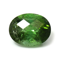 15.66 Ct. Tourmaline from Mozambique Video