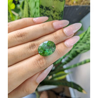 15.66 Ct. Tourmaline from Mozambique Life Style