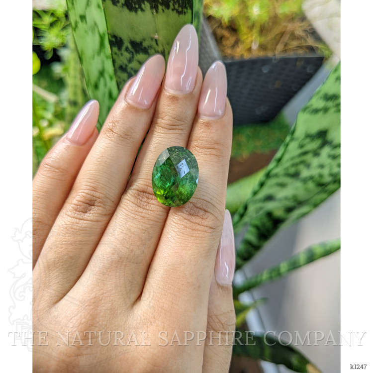 15.66 Ct. Tourmaline from Mozambique