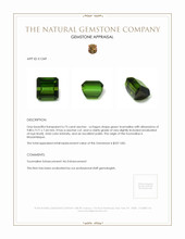6.73 Ct. Tourmaline from Mozambique Appraisal