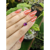 2.39 Ct. Rhodolite Garnet from Ceylon (Sri Lanka) Life Style