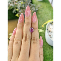 2.01 Ct. Rhodolite Garnet from Ceylon (Sri Lanka) Life Style