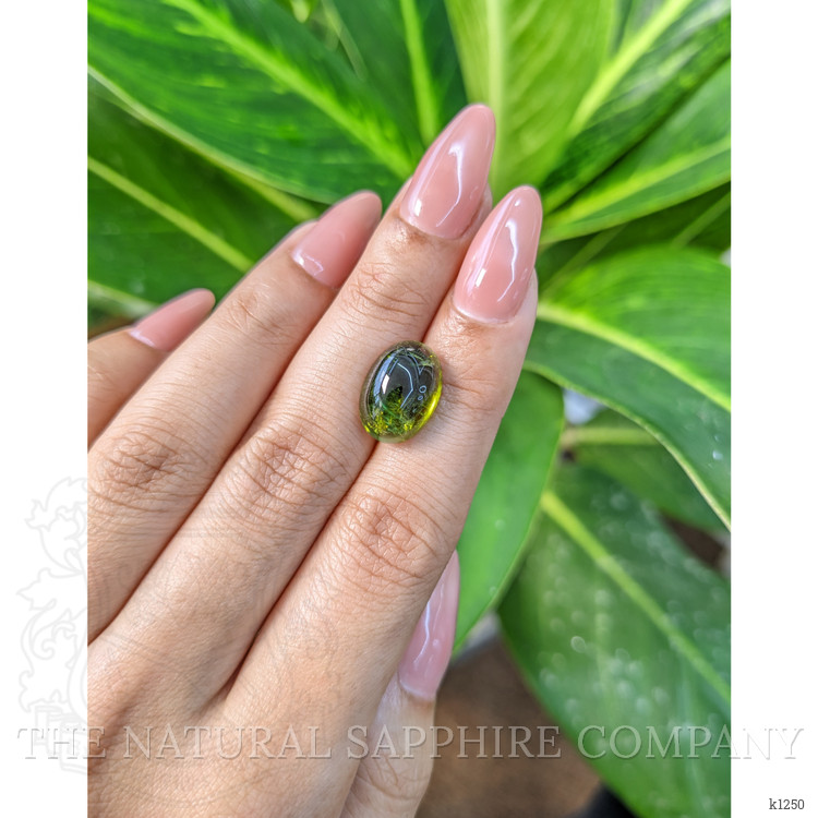 7.14 Ct. Cabochon Tourmaline from Mozambique