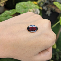 6.91 Ct. Zircon from Ceylon (Sri Lanka) Life Style