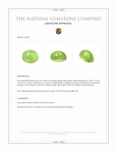 5.95 Ct. Cabochon Tourmaline from Mozambique Appraisal