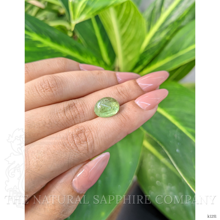 5.95 Ct. Cabochon Tourmaline from Mozambique