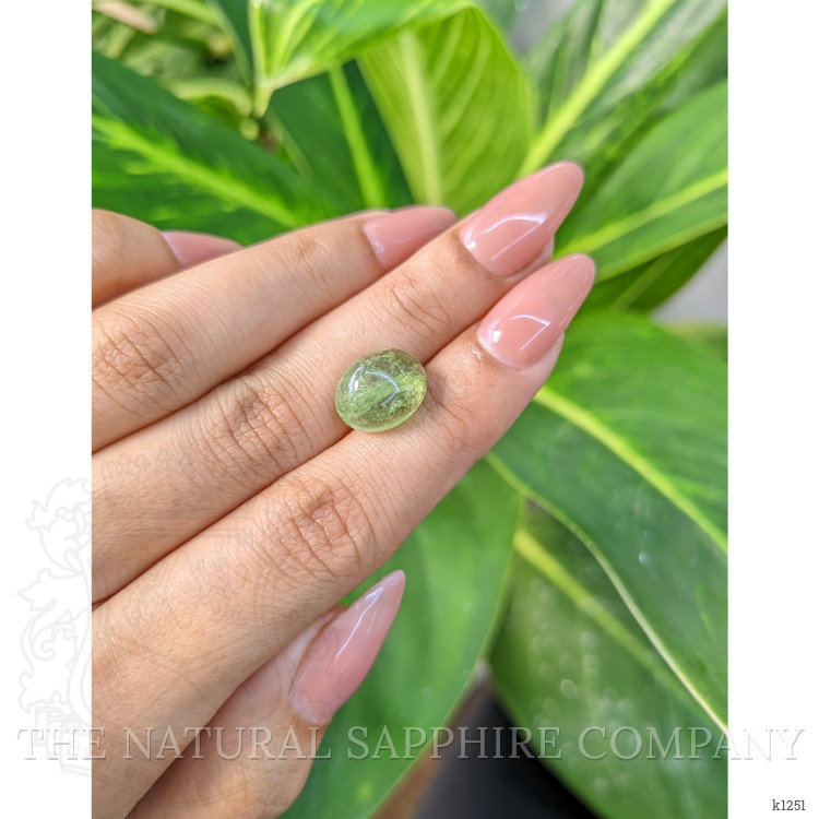 5.95 Ct. Cabochon Tourmaline from Mozambique