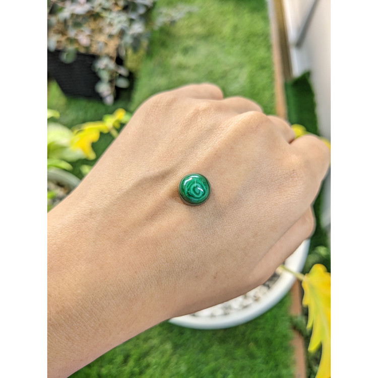10.26 Ct. Cabochon Malachite from Russia