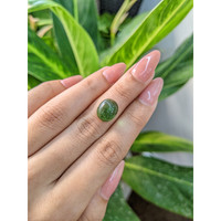6.09 Ct. Cabochon Tourmaline from Mozambique Life Style