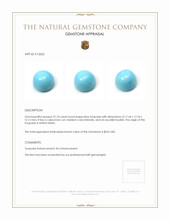 27.74 Ct. Cabochon Turquoise from United States Appraisal