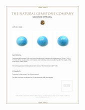 9.84 Ct. Blue Cabochon Turquoise from USA Appraisal