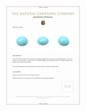 9.68 Ct. Cabochon Turquoise from Persia Appraisal