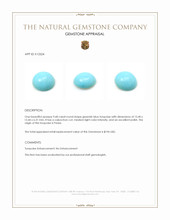 9.68 Ct. Cabochon Turquoise from Persia Appraisal