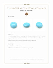 8.85 Ct. Blue Cabochon Turquoise from USA Appraisal