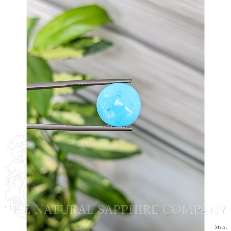 8.85 Ct. Cabochon Turquoise from United States