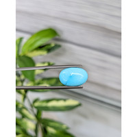 6.41 Ct. Cabochon Turquoise from United States Life Style