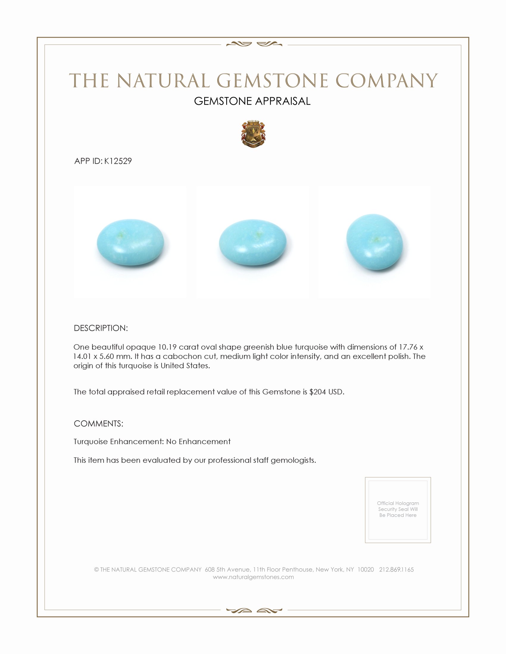 10.19 Ct. Cabochon Turquoise from United States