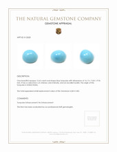 15.65 Ct. Cabochon Turquoise from United States Appraisal