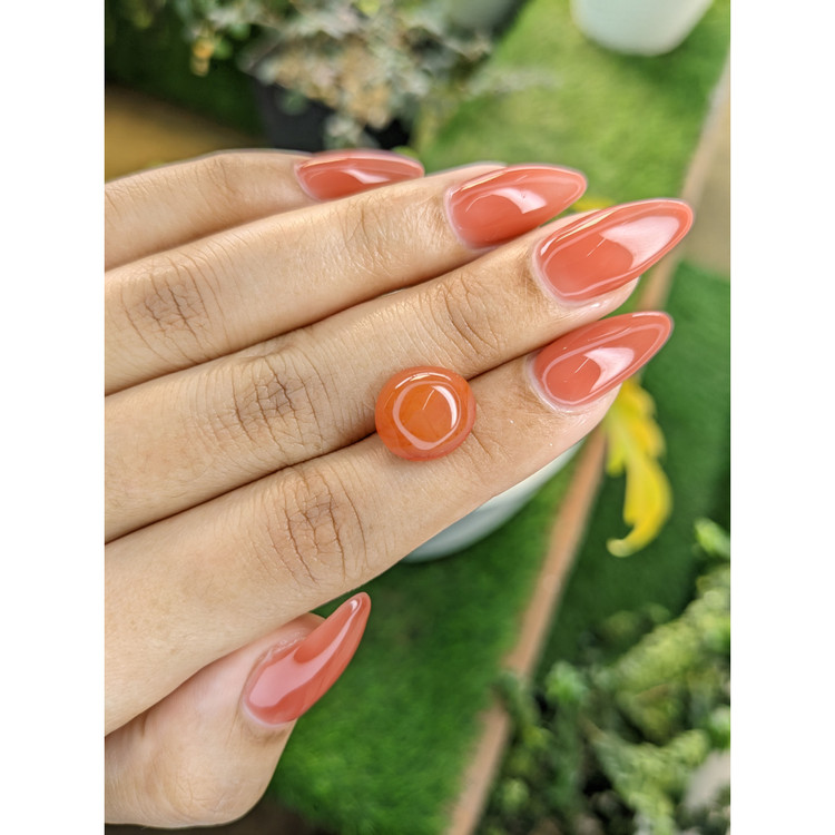 6.01 Ct. Cabochon Agate from India