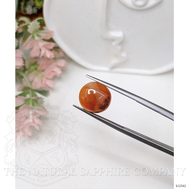 4.44 Ct. Cabochon Agate from India